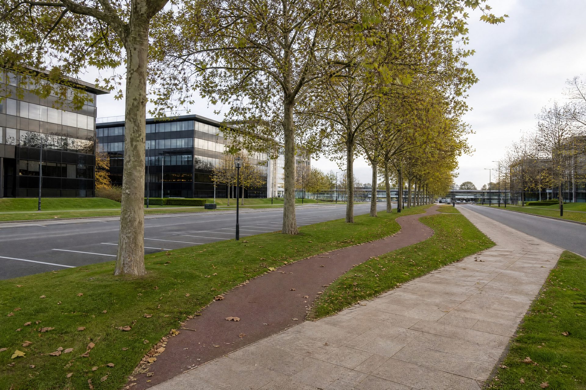 A tree-lined street with a red cycle path, wide lawns and low glass office buildings